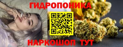 гидра Свободный