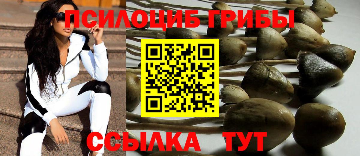 Псилоцибиновые грибы Psilocybe  Псилоцибиновые грибы Psilocybine cubensis  Вход с VPN  купить  сайты  Рубцовск 